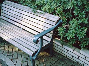 家族の思い出を美しく残す!二子玉川のおすすめ写真館ガイド