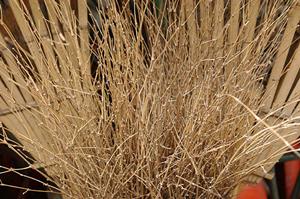 大田区で給湯器の交換をするには