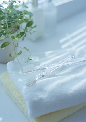 展示会ブースの成功を支える最新デザイントレンドと効果的な装飾法